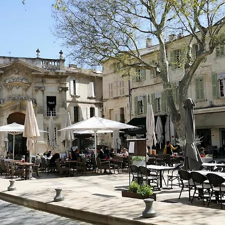 Bed & Breakfast Le Petit - & A Deux Pas Du Pont D'avignon Et Du Palais Des Papes